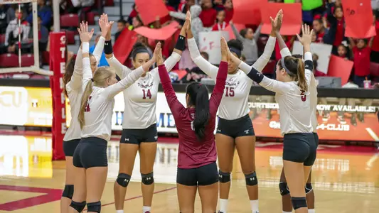 Temple Volleyball