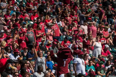 Fans in Stands