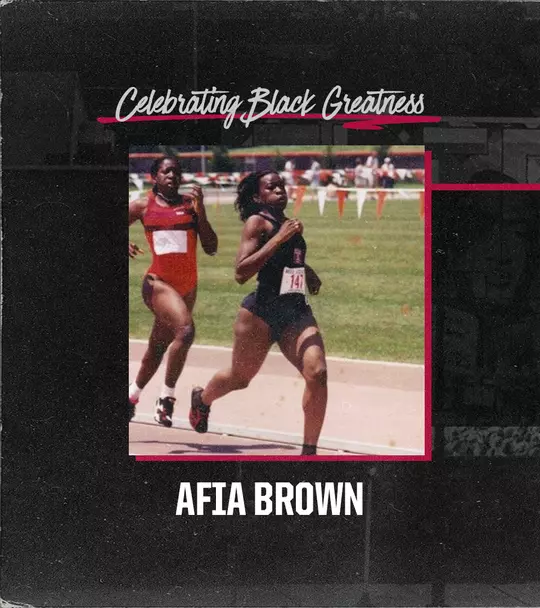 Brown BHM