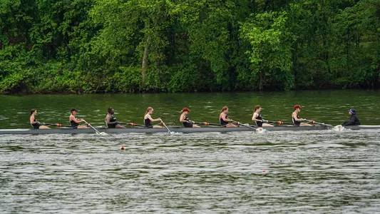 Novice 8