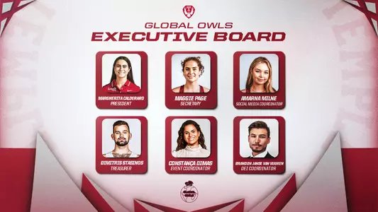 2023 Global Owls