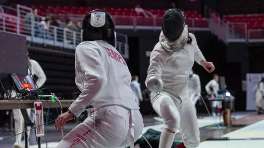 Fencing