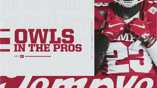 Owls in the Pros