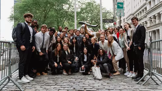 Owls Take Manhattan