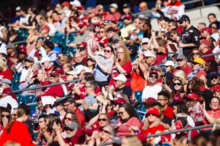 Football Crowd