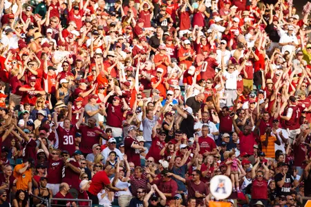 Football Crowd
