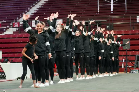 Gymnastics Team 2024