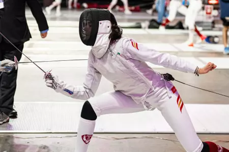 Fencing Preview