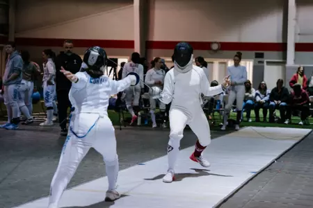 fencing story