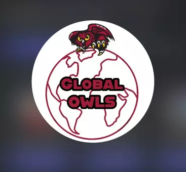 global owls