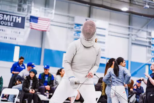 fencing