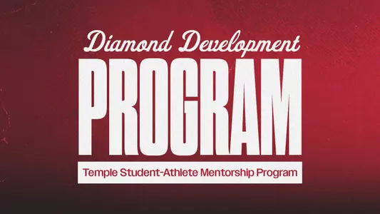 Diamond Development Program