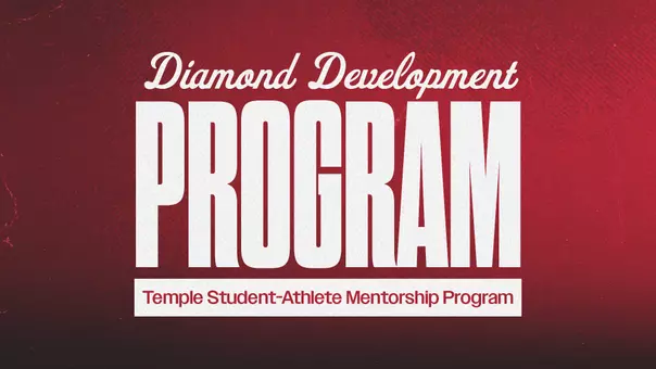 Diamond Development Program