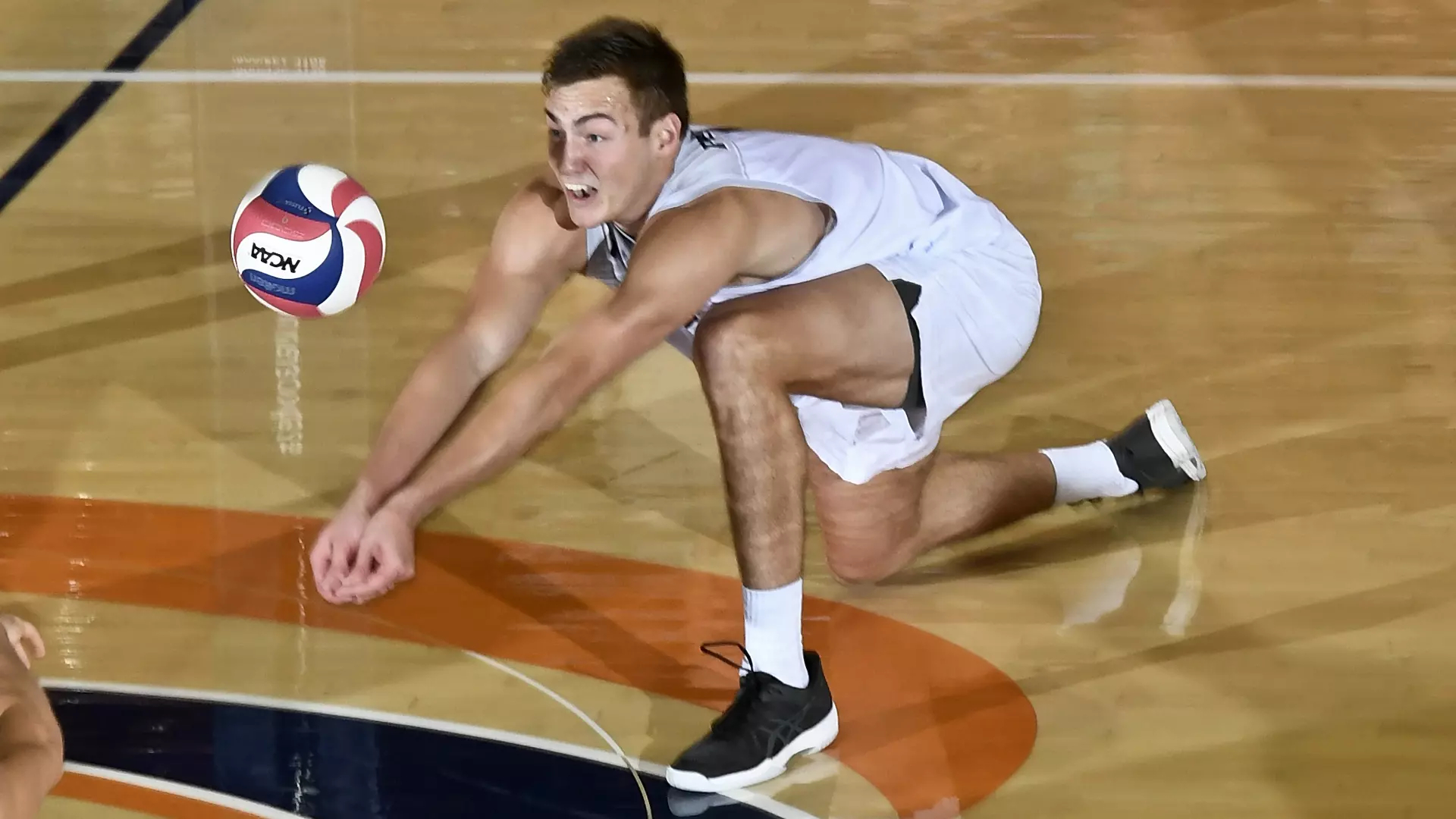 Michael Wexter vs. UCLA