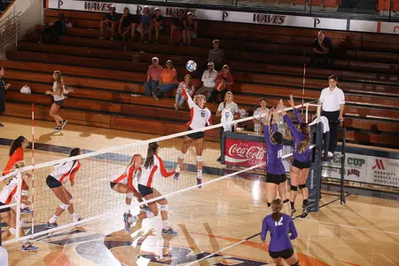 Gaby Palmeri (Photo by Jeff Golden)