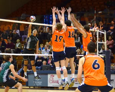 David Wieczorek, Tommy Carmody and Matt Tarantino