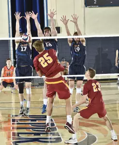 Joshua Stewart, Tommy Carmody and David Wieczorek