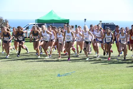 (photo by Jeff Golden)