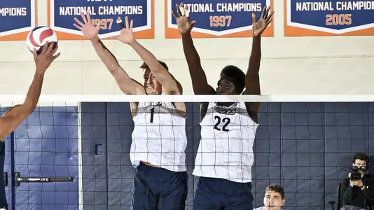 Michael Wexter, Kévin Vaz