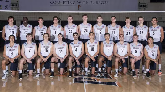 2020 men's volleyball team