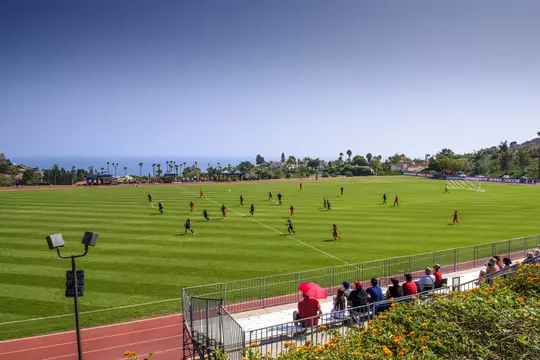 Tari Frahm Rokus Field