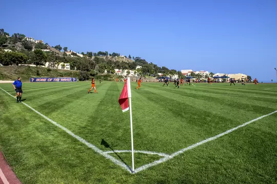 Tari Frahm Rokus Field