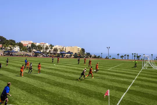 Tari Frahm Rokus Field