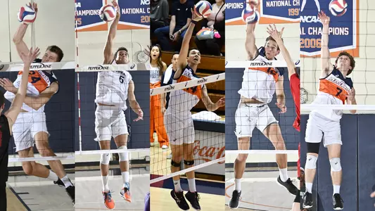 men's volleyball 2020 all-academic