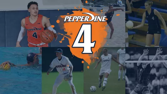 number project 4