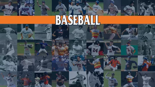 Number Project Baseball