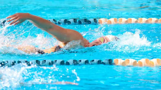 Paige Tattersall vs. Westmont