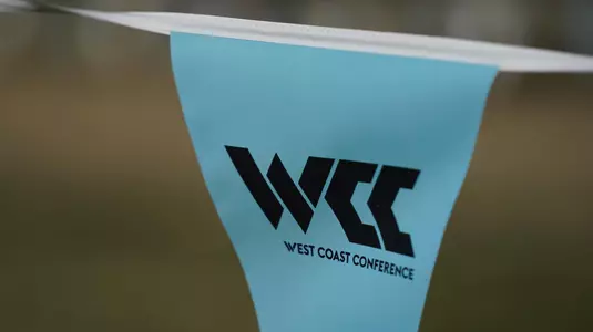 wcc generic flag