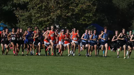 Men's Cross Country