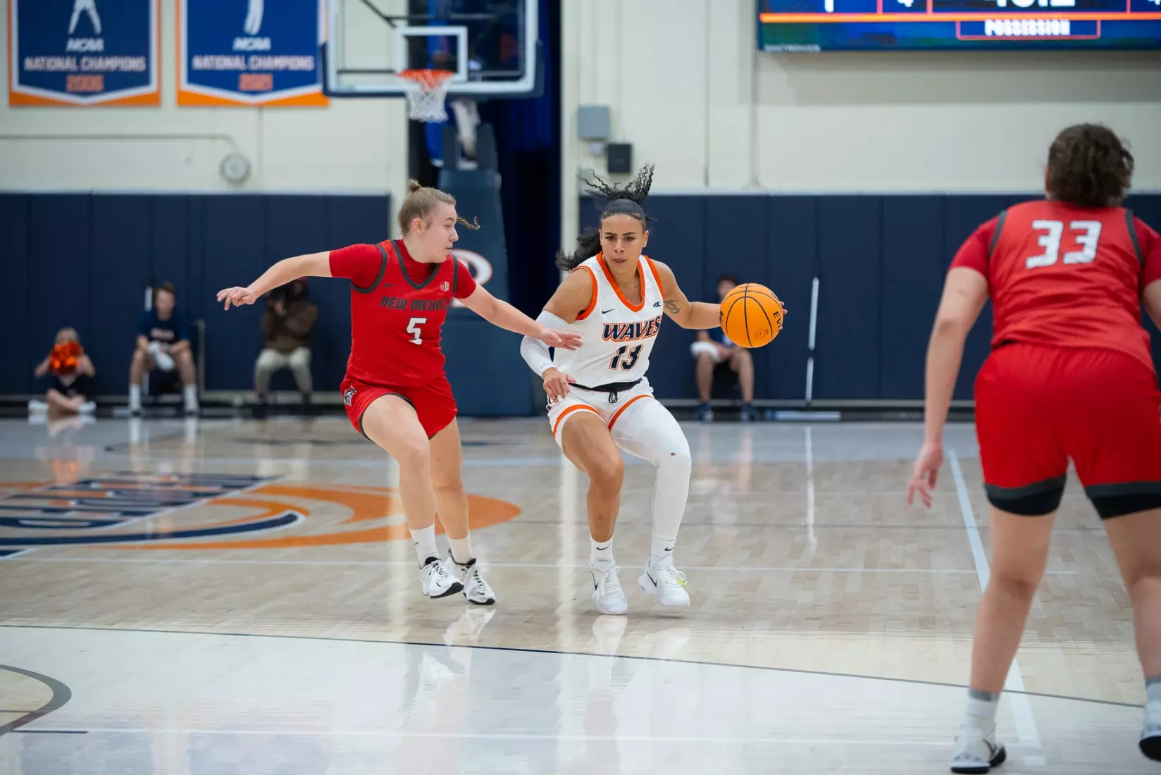 Mashaire vs. New Mexico