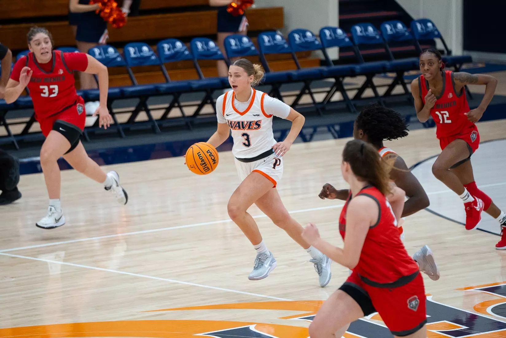 Brubaker vs. New Mexico