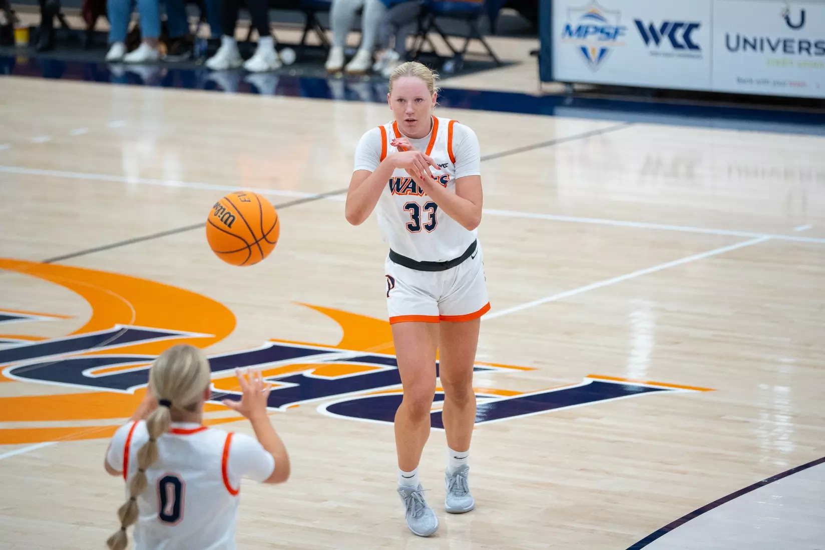 Brodie vs. New Mexico