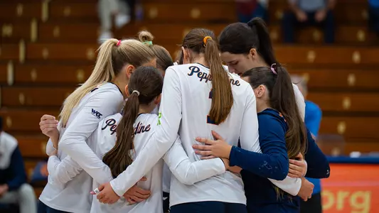 huddle so sad it's listening to radiohead by itself in a dark room