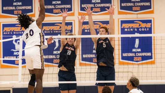 Andersen Fuller, Tyler Stewart