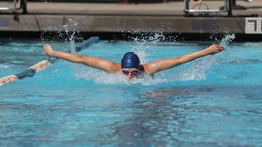Swim & Dive