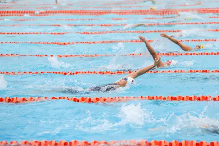 mia pleasant tri meet