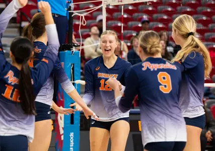 Volleyball Celebration