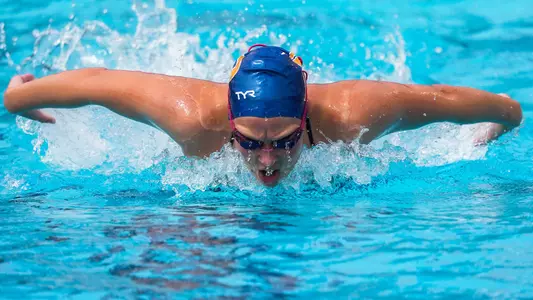Swim & Dive