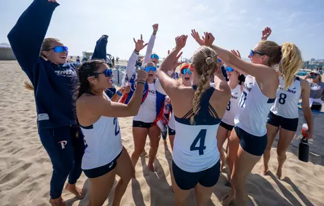Beach Volleyball Celebration