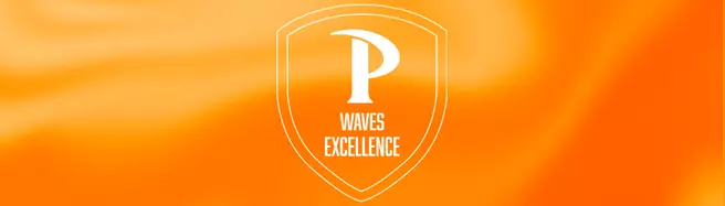 Waves Excellence Initiative