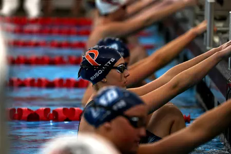 layla busquets start