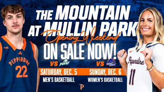 Mountain On Sale