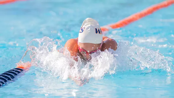 Swim Preview