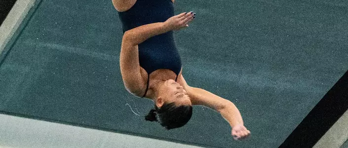 amanda wong dive platform