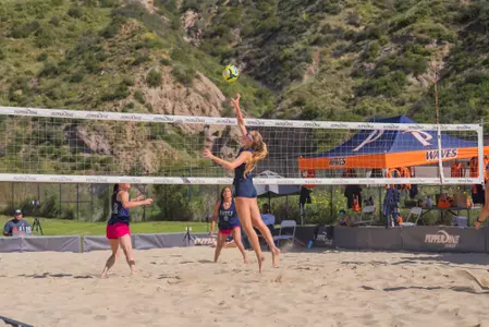 emi erickson bvb action