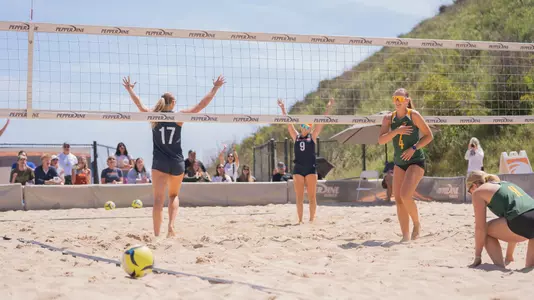 bubelis doezema celebration